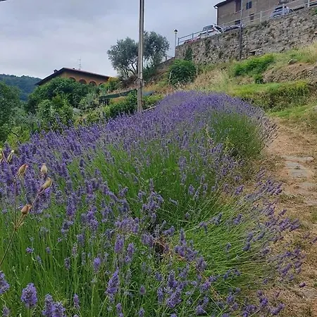 Сasa de vacaciones Il Casalino - Nido Nel Chianti